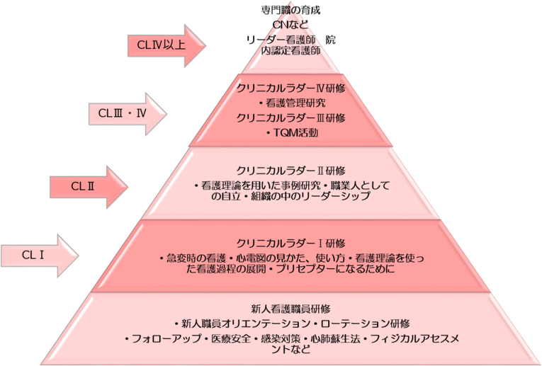 図：研修やオリエンテーションから研究や専門職の育成まで